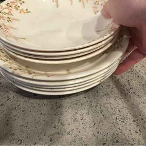 Floral Patterned Dinner Plates Set